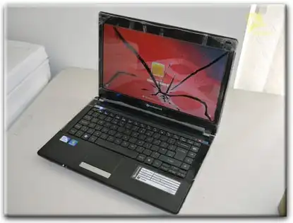 Замена матрицы Packard Bell в Звенигороде
